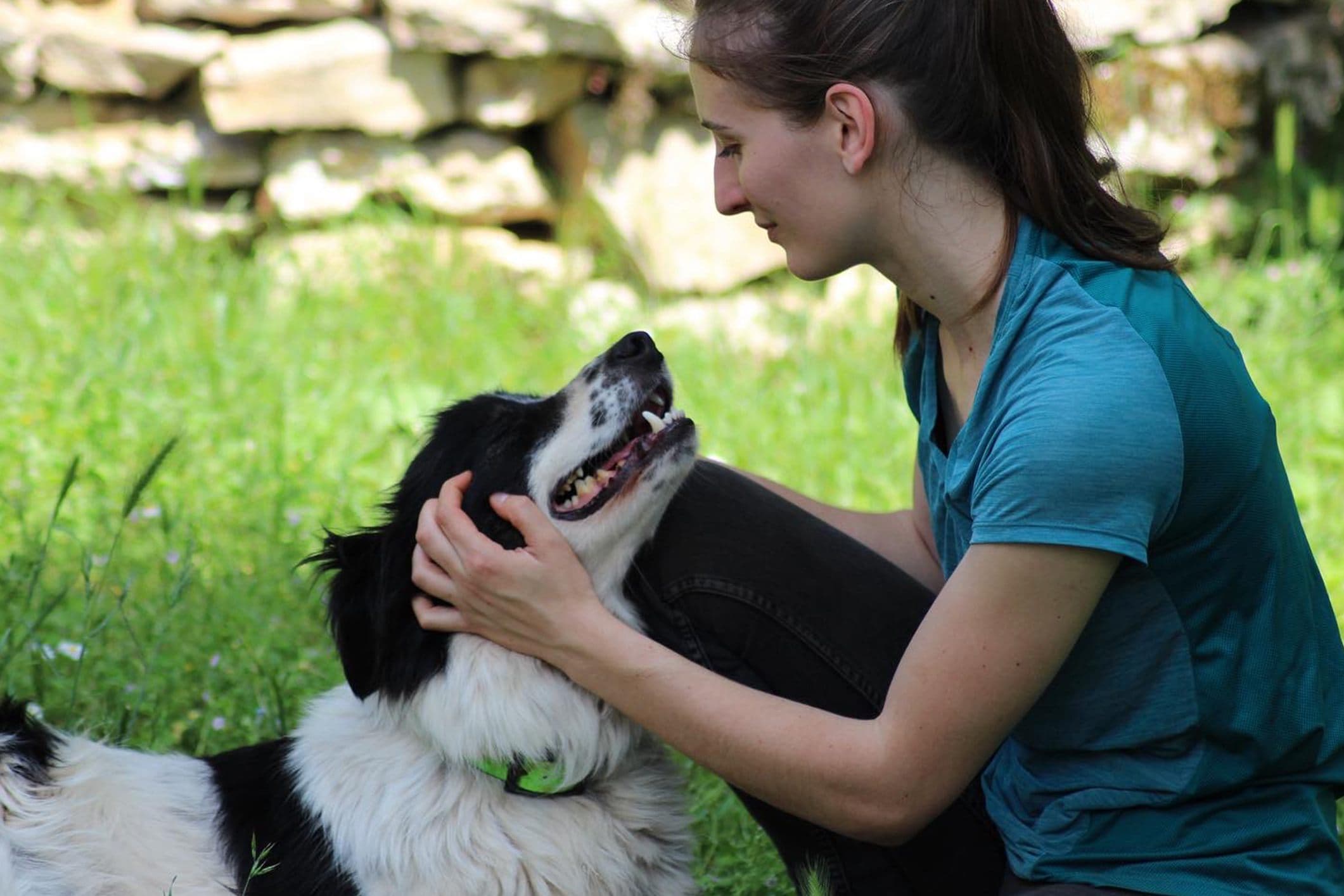 Marie Salabert en consultation d'ostéopathie auprès d'un chien