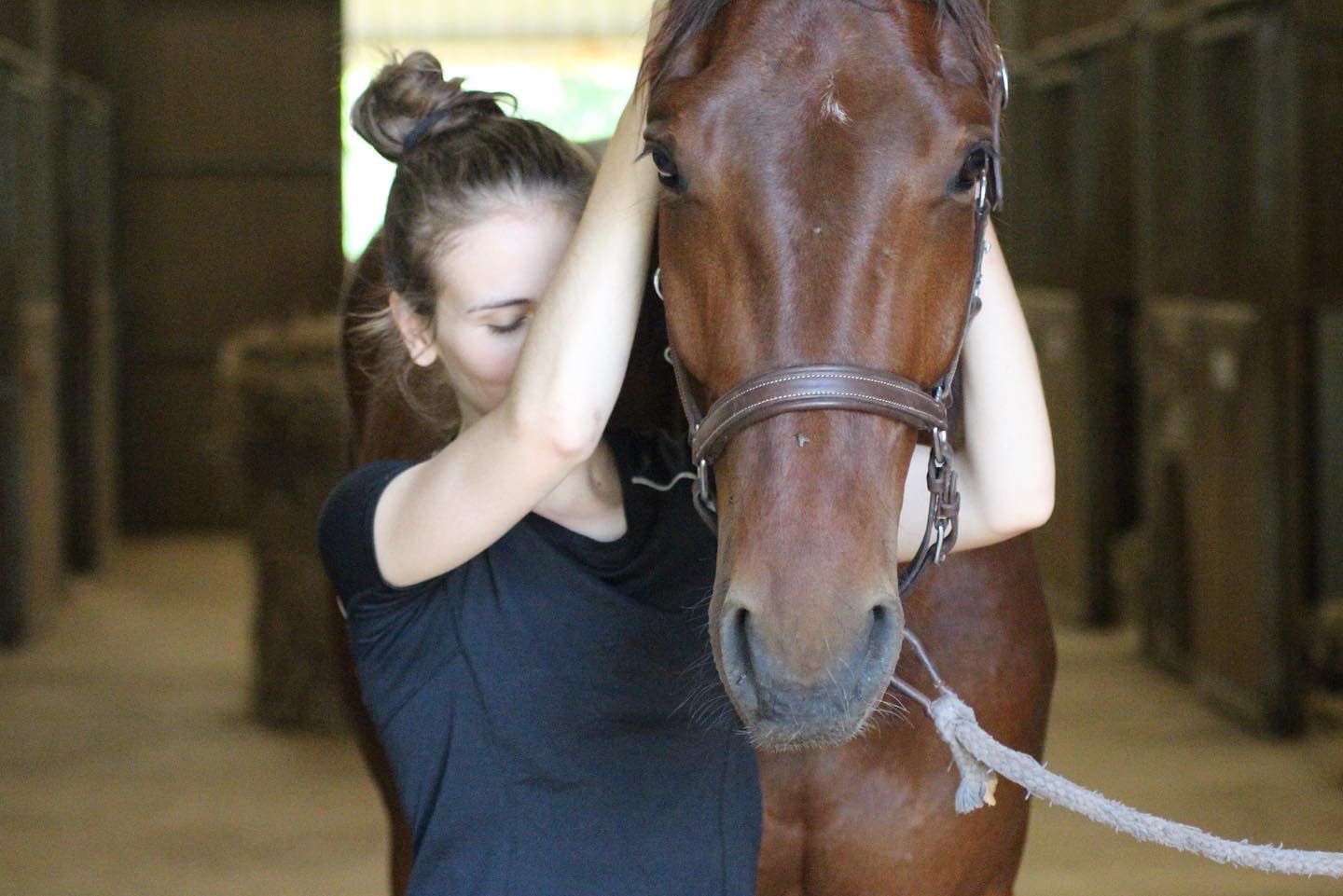 Marie Salabert mobilise la tête d'un cheval bai dans une écurie.