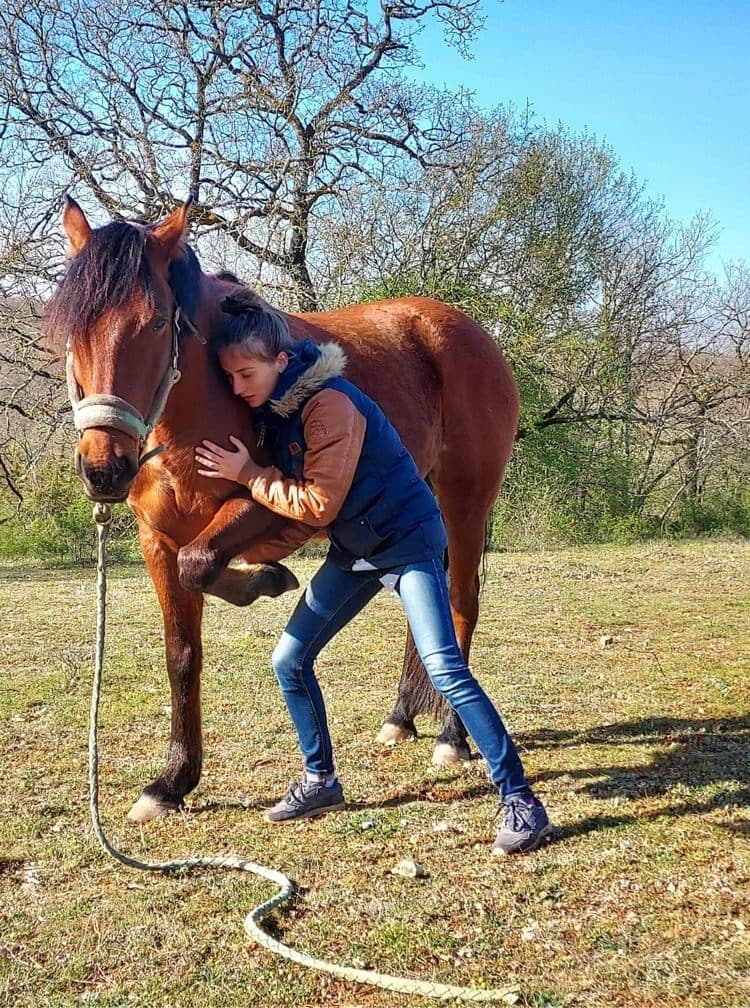 Marie Salabert mobilise l’antérieur d’un cheval bai, au pré