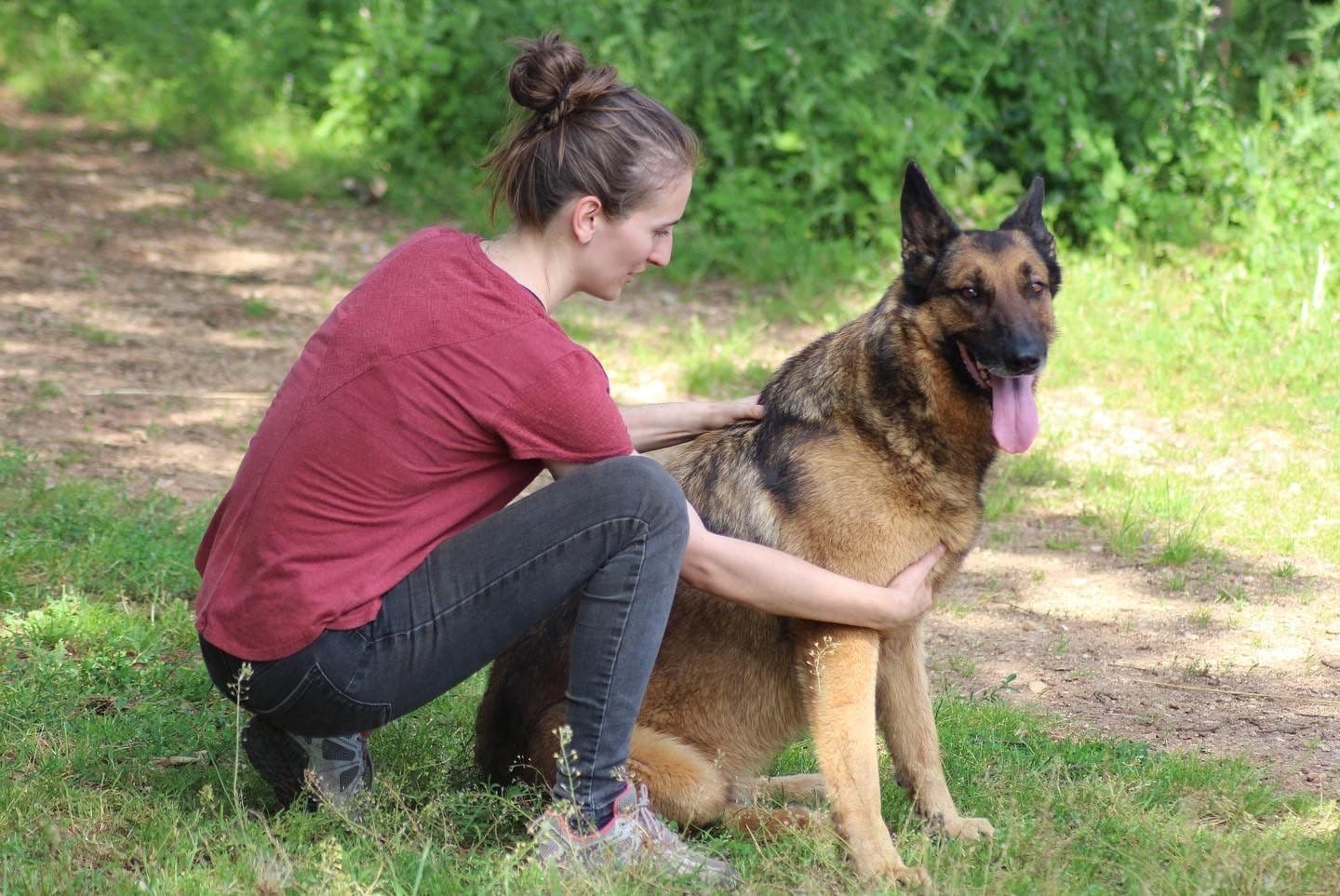Marie Salabert travaille le dos d'un berger allemand assis dans l'herbe.