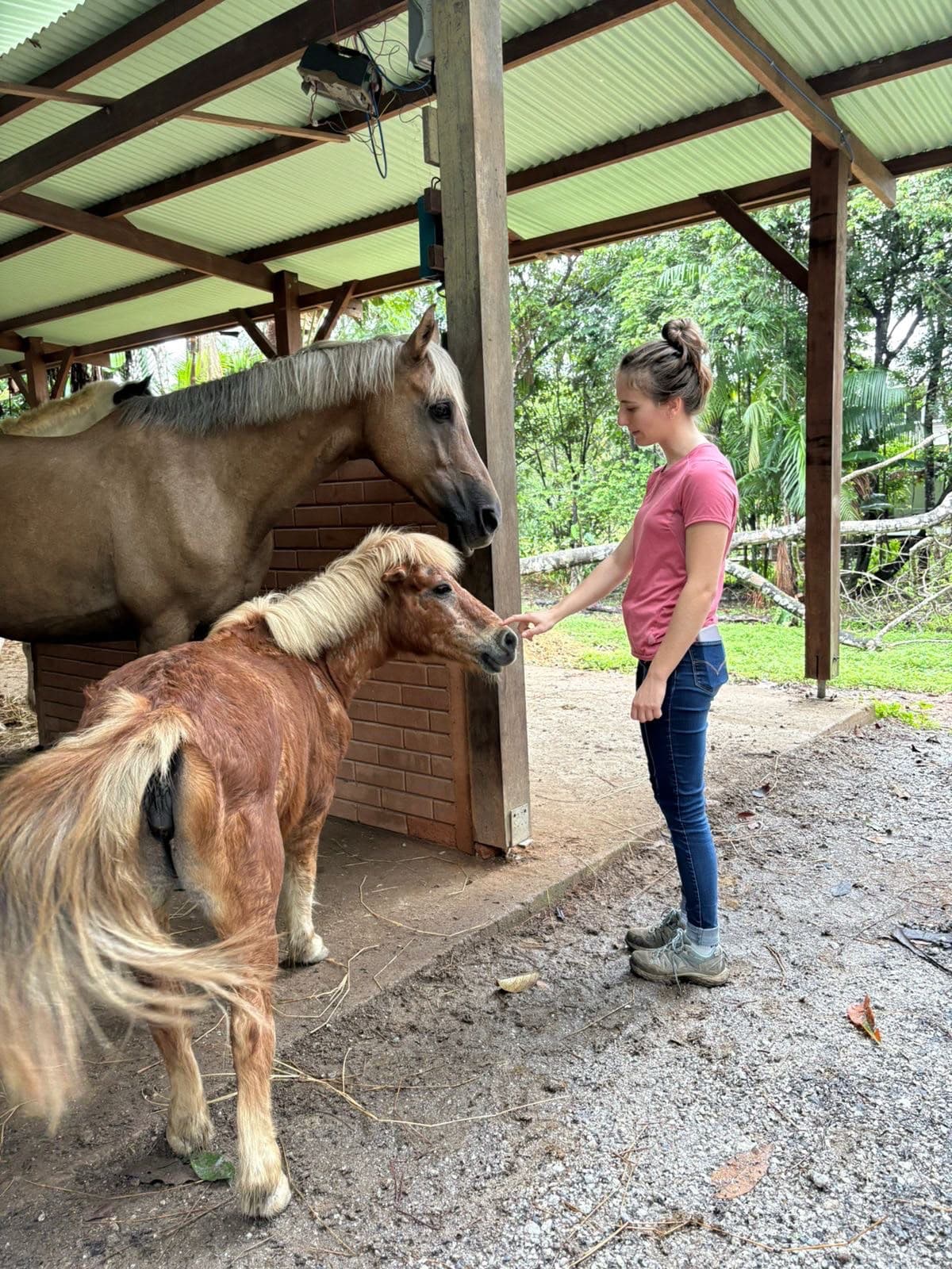 Marie Salabert auprès d'un cheval et d'un poney sous un abri