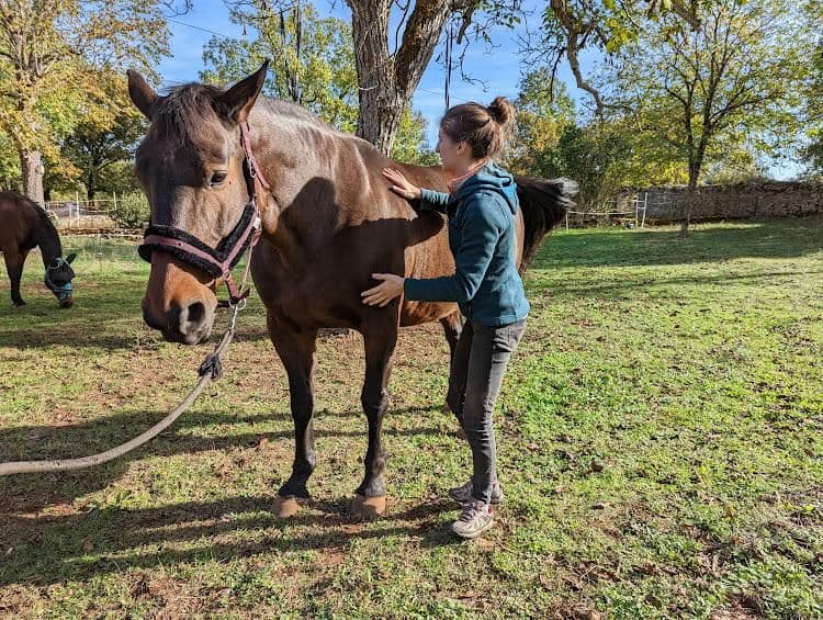 Marie Salabert pose la main sur l'épaule d'un cheval au pré