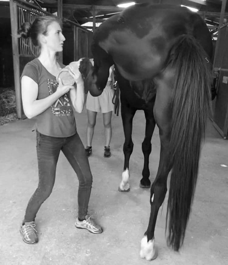 Marie Salabert mobilise le postérieur d'un cheval noir à l'écurie