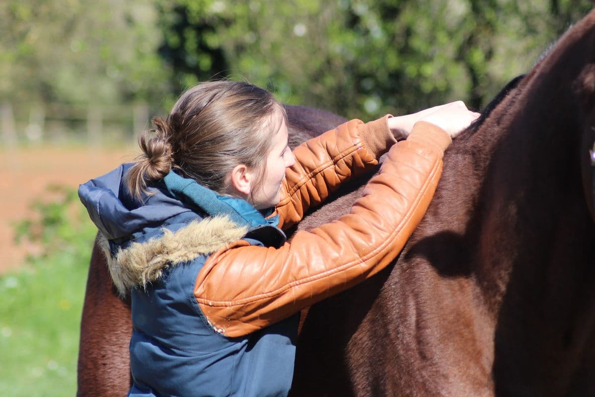 Marie Salabert travaille le garrot d'un cheval bai