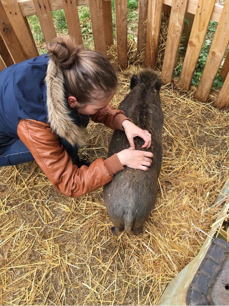 Marie Salabert auprès d'un cochon noir dans la paille