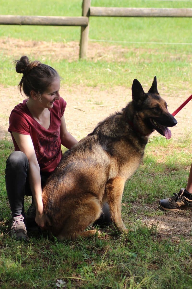 Marie Salabert accompagne un berger allemand assis dans l'herbe