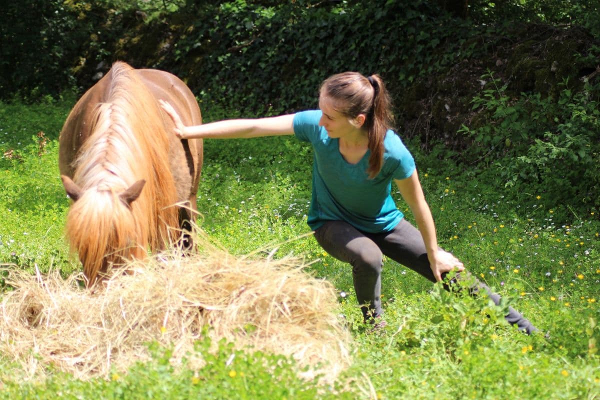 Marie Salabert travaille sur un poney alezan qui mange du foin