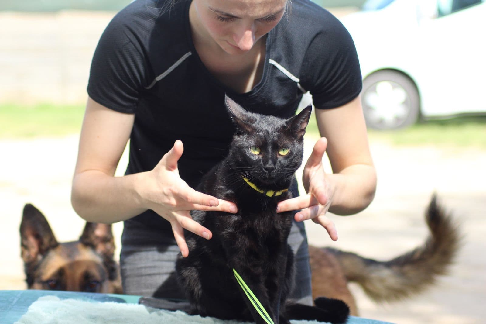 Marie Salabert avec un chat noir, un chien en arrière-plan