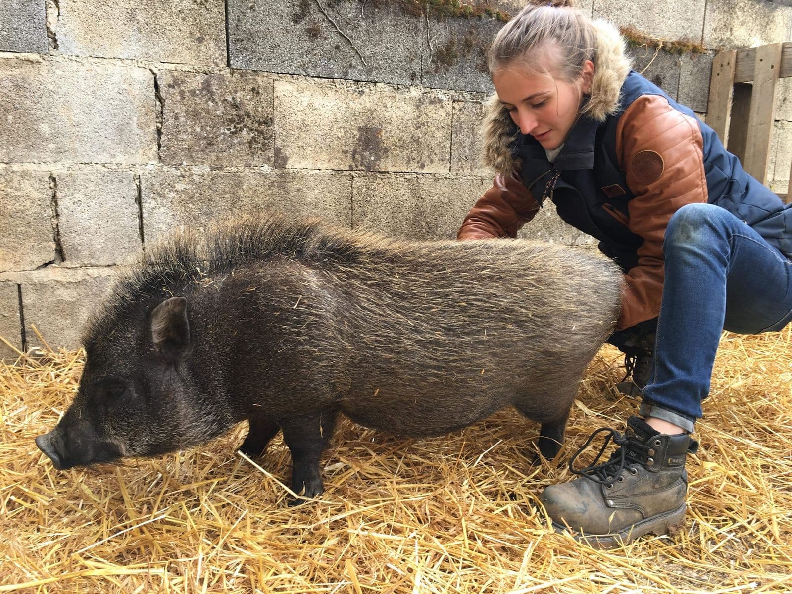 Marie Salabert auprès d'un cochon dans la paille