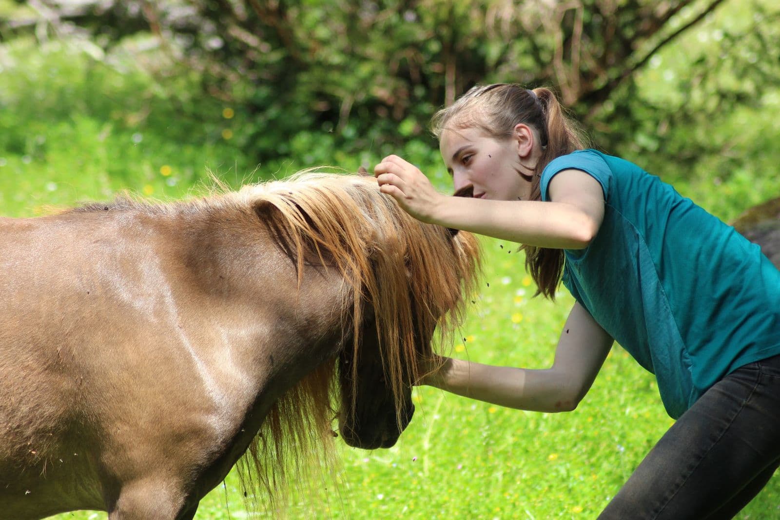 Marie Salabert travaille sur un poney au pré