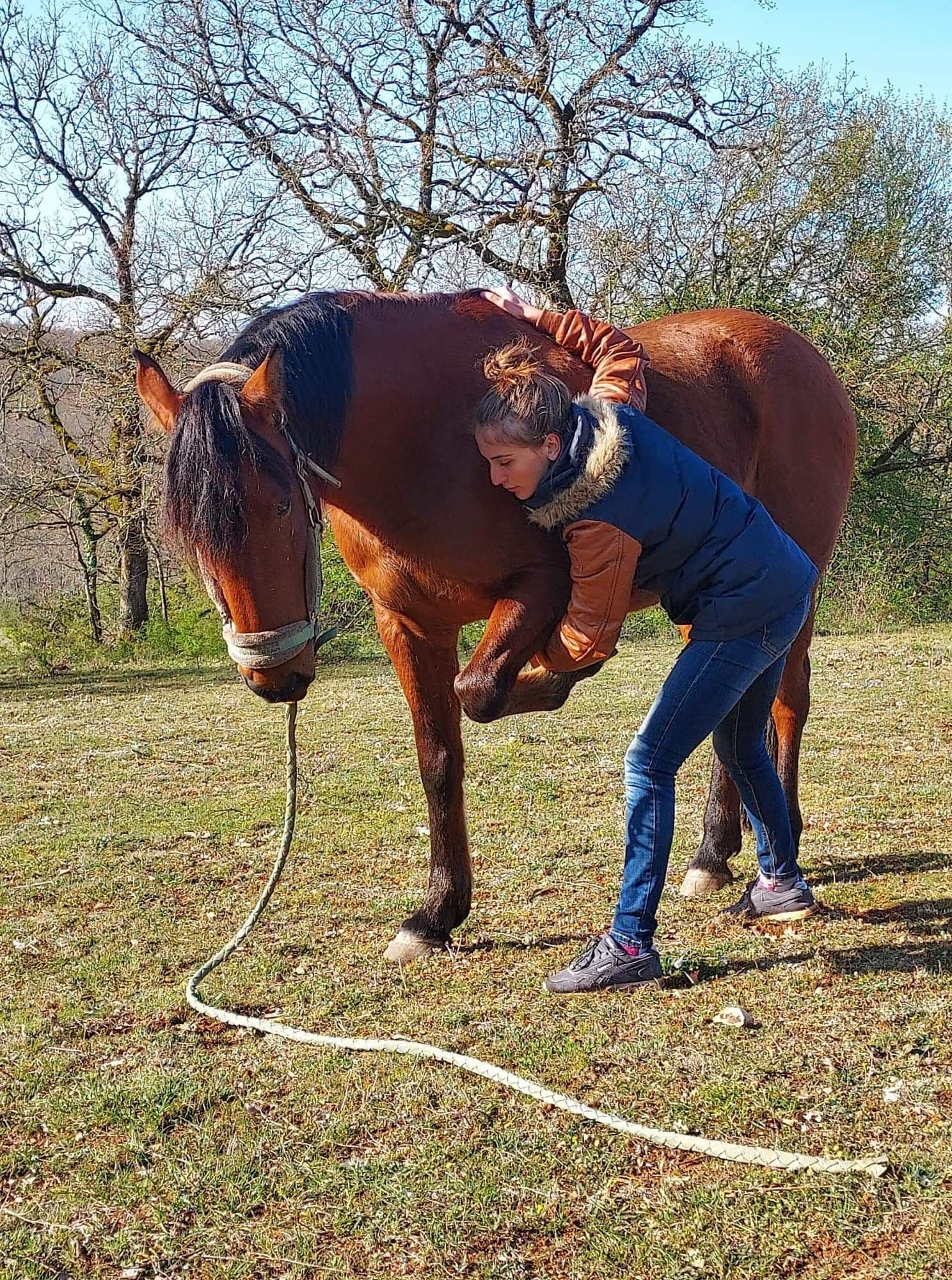 Marie Salabert fléchissant l'antérieur d'un cheval au pré