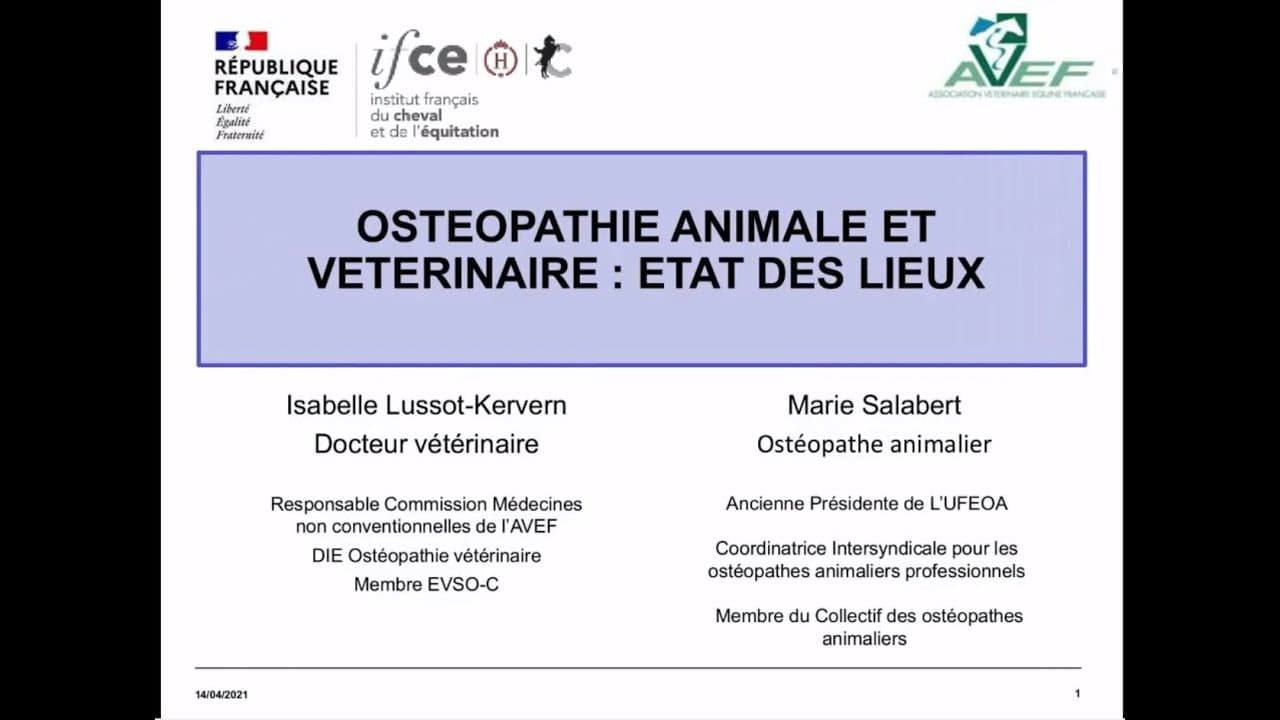 Conférence « Ostéopathie Animale et Vétérinaire : état des lieux » pour l’IFCE