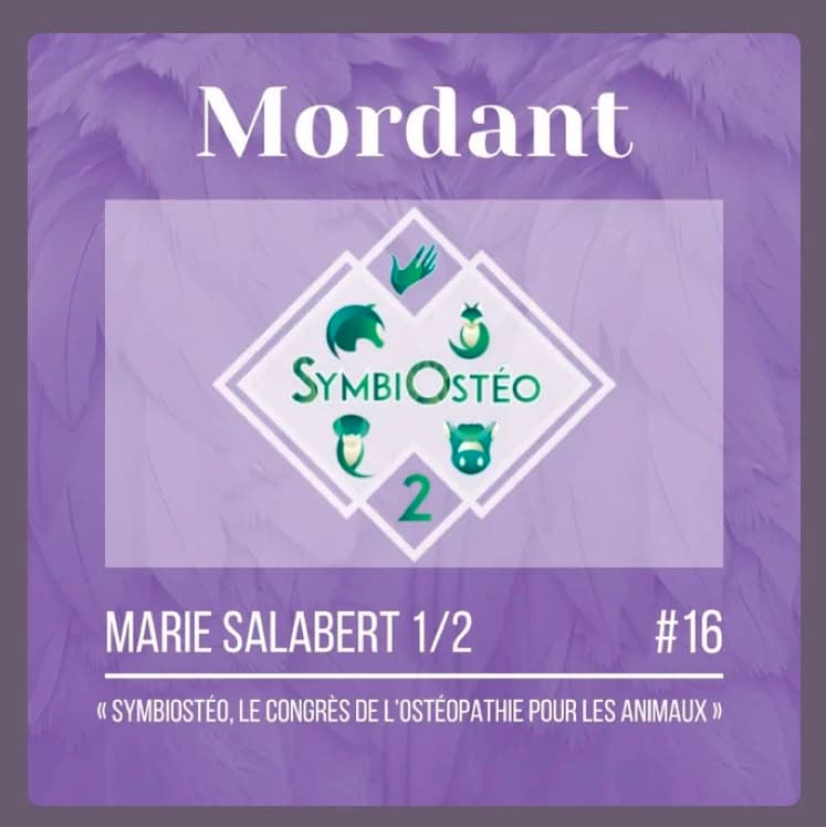 Pochette de l'épisode du podcast Mordant consacré à SymbiOsteo 2