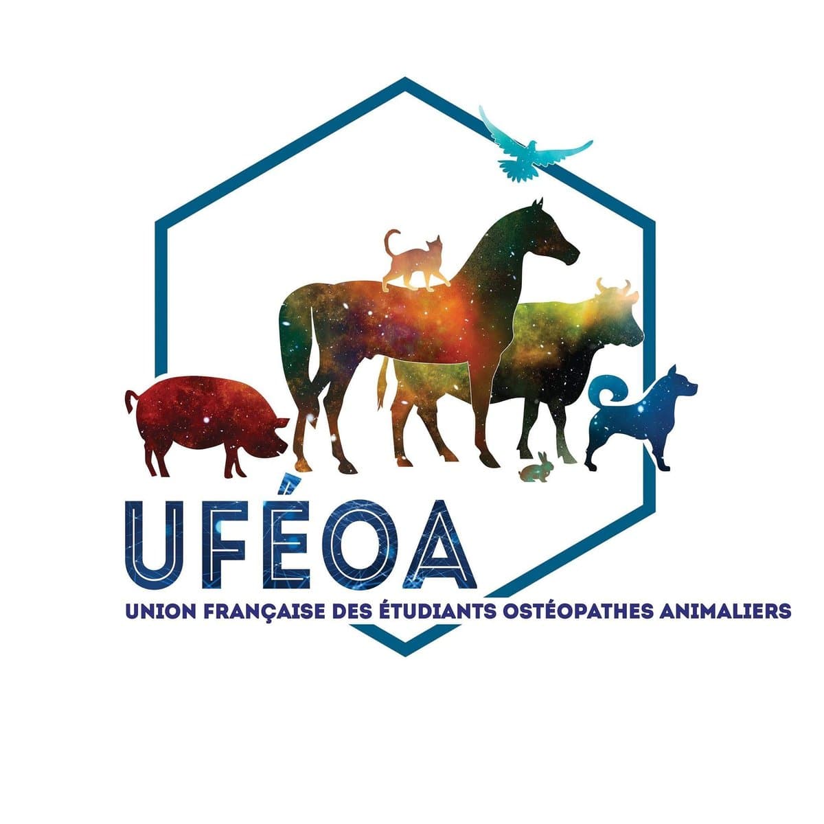 Logo of the UFEOA, the French union of animal osteopathy students